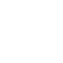 SOC 1 Type II